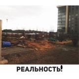 Пойма - Реальность - 2.jpg